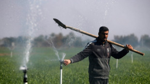Sprinklers and drip irrigation help Iraqis&nbsp;beat drought
