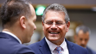 EU 'fully committed' to reaching US trade deal: commissioner