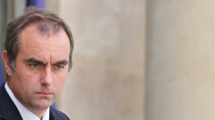 Francia propone un fuerte ajuste fiscal para sanear sus arcas p&uacute;blicas