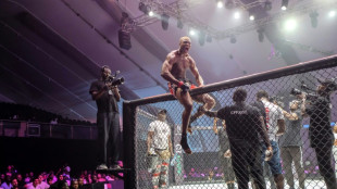 Au Nigeria, le MMA gagne le coeur des spectateurs 