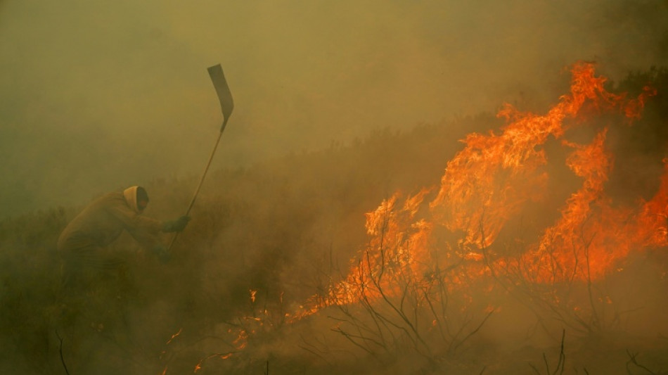 Un récord de más de un millón de hectáreas quemadas en incendios en la UE en 2025
