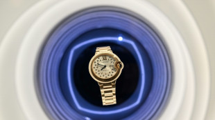 Les horlogers jouent avec les mat&eacute;riaux pour s&eacute;duire la nouvelle g&eacute;n&eacute;ration d'acheteurs