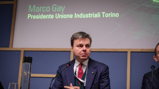 Gay 'Ue faccia l'Ue, all'industria servono azioni concrete'