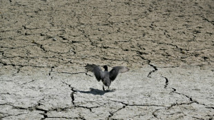 Tensões globais afetam os preparativos da COP30, mas 'o fracasso não é uma opção'