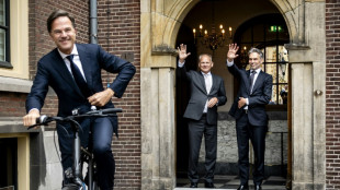 'Put it on': Dutch drive for bike helmets