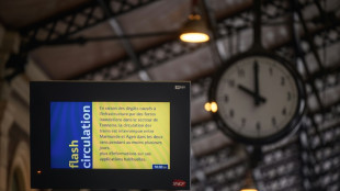 Gr&ecirc;le, fortes pluies dans le Sud-Ouest, trafic TGV Bordeaux-Toulouse interrompu plusieurs jours