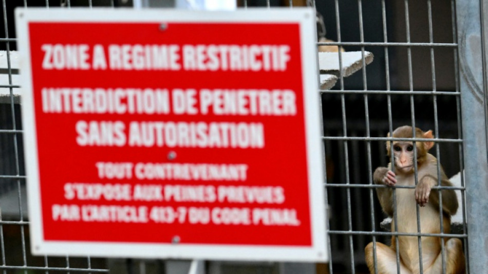 En Provence, l'extension d'un discret centre d'élevage de singes de laboratoire divise