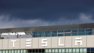 IG Metall stellt Strafanzeige gegen Tesla-Gesch&auml;ftf&uuml;hrer in Gr&uuml;nheide