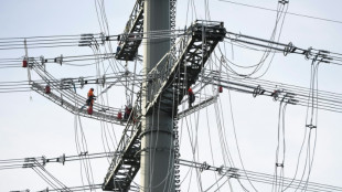 IT-Sicherheitsamtschefin warnt vor verst&auml;rkten Cyberangriffen auf Energieversorgung