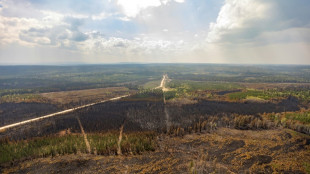Los incendios forestales merman lentamente en el oeste de Canad&aacute;