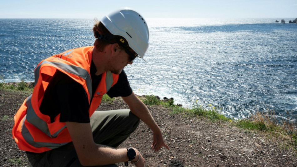Contamin&eacute;es par l'industrie pendant deux si&egrave;cles, des Calanques de Marseille bient&ocirc;t d&eacute;pollu&eacute;es 