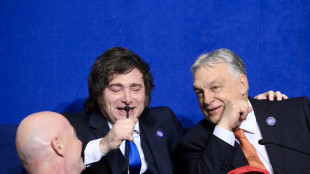 Milei arriva in Ungheria, incontro con Orban e intervento alla Cpac