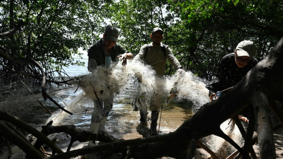 Desechos pl&aacute;sticos cubren santuario de aves en isla del Golfo de Fonseca