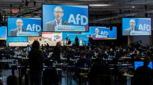 Landtagswahl in Sachsen: AfD-Landeschef Urban zum Spitzenkandidaten gew&auml;hlt