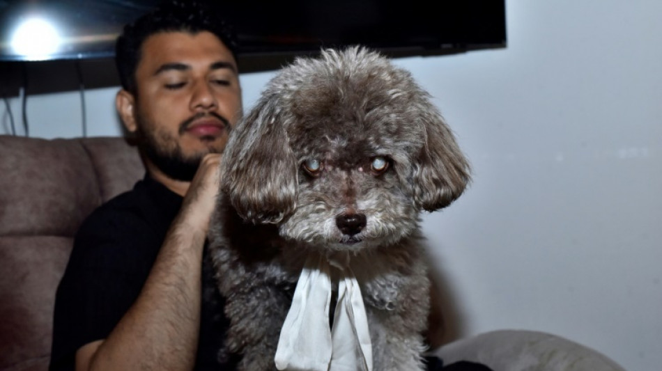 Colombie : une femme meurt pour sauver son chien du tremblement de terre