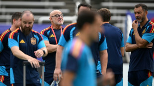 Spain to go on 'front foot' against France in World Cup semi: De la Fuente