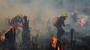 &Aacute;rea incendiada en Brasil casi se duplica en noviembre respecto a mismo mes en 2021