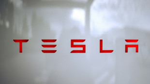 EU-Neuwagenmarkt leicht im Plus - deutlicher Anstieg bei E-Autos au&szlig;er bei Tesla