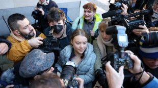 A Londres, Greta Thunberg jug&eacute;e pour une action anti-&eacute;nergies fossiles