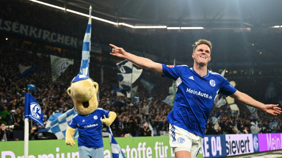 Schalke siegt im Kellerduell und st&ouml;&szlig;t Hertha nach unten 