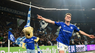 Schalke siegt im Kellerduell und st&ouml;&szlig;t Hertha nach unten 