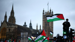 Londres: des milliers de personnes d&eacute;filent &agrave; nouveau pour soutenir les Palestiniens