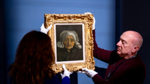 Un inusual cuadro de Van Gogh vendido por varios millones de euros en Pa&iacute;ses Bajos