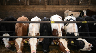 Ukraine, covid, Brexit: les agriculteurs britanniques assaillis de difficult&eacute;s