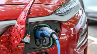 Zahl der Pkw steigt auf &uuml;ber 49 Millionen - weiter starke Zunahme von E-Autos