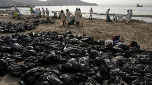 Le P&eacute;rou interdit au navire &agrave; l'origine de la mar&eacute;e noire d'appareiller