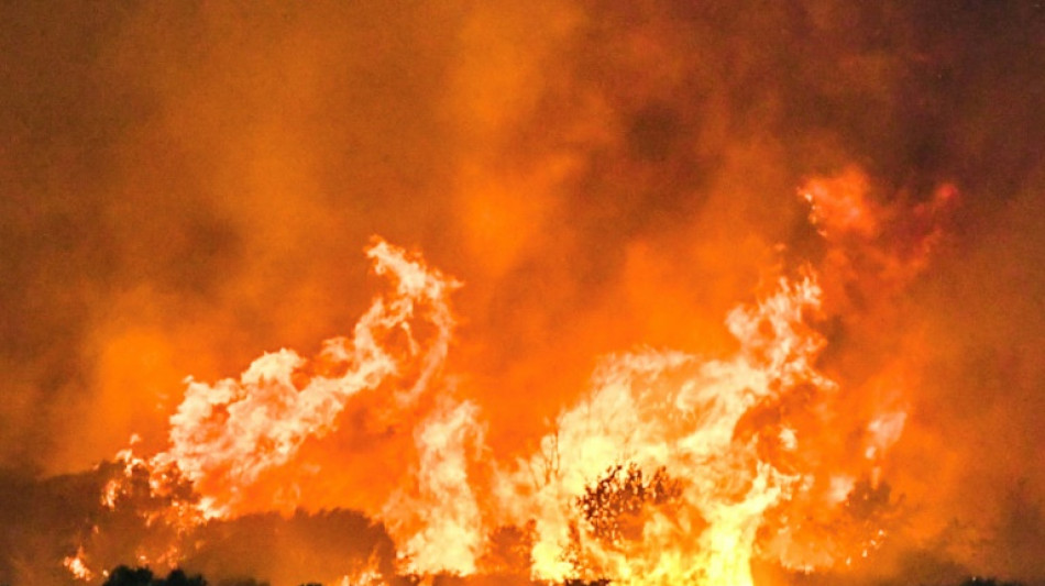 Thousands battle Greece fires as heatwave bakes Europe