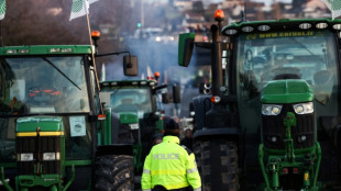 Malgr&eacute; les concessions, la col&egrave;re des agriculteurs persiste et s'invite au sommet europ&eacute;en
