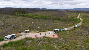 Reboiser après les incendies, des drones à la rescousse au Canada