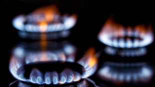 Il prezzo del gas accelera e si attesta oltre i 50 euro
