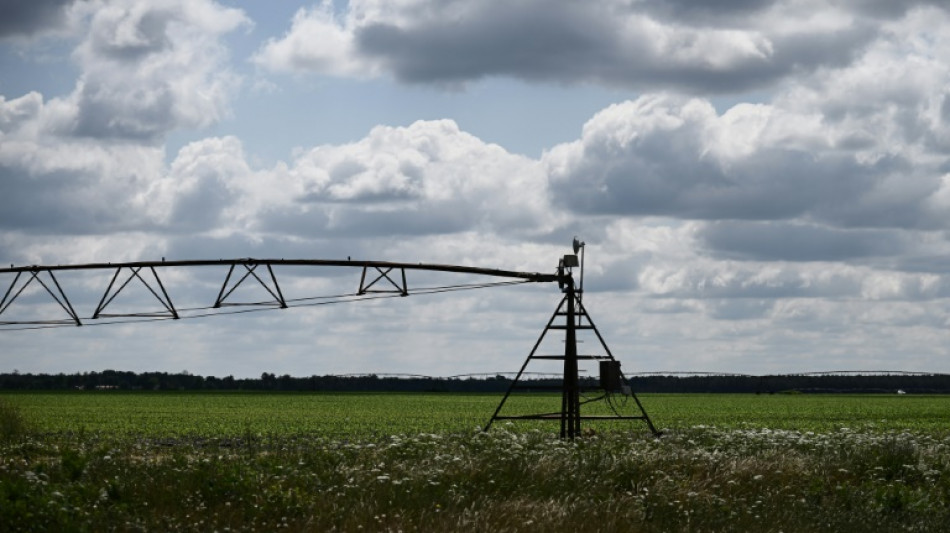 En France, des &eacute;t&eacute;s au r&eacute;gime sec si la gestion de l'eau ne change pas