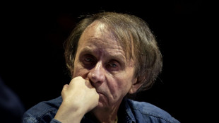 "Les Particules &eacute;l&eacute;mentaires", librement adapt&eacute;es de Houellebecq, sur France 2