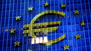 EZB schreibt 2025 erneut Verlust