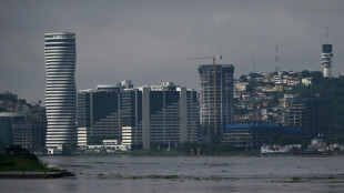 Crimen y desempleo, el desaf&iacute;o del pr&oacute;ximo presidente de Ecuador