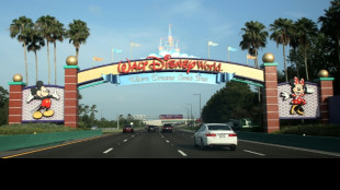 Disney suspende a 45 trabajadores venezolanos tras un fallo judicial sobre protecci&oacute;n