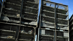 Grippe aviaire: la strat&eacute;gie de vaccination fran&ccedil;aise inspire &agrave; l'&eacute;tranger