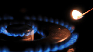 Gme, prezzo gas in Italia in rialzo a 40,48 euro al MWh