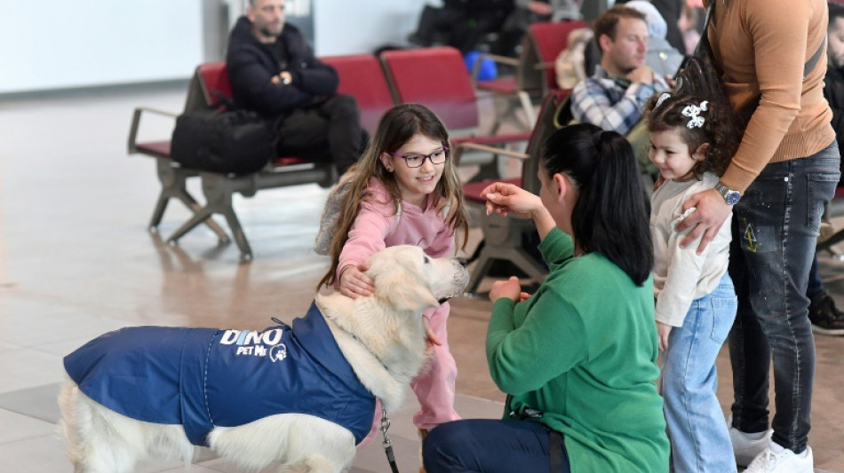 Peur de l'avion ? L'a&eacute;roport de Skopje a tout pr&eacute;vu ... m&ecirc;me un chien !