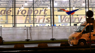 Soup&ccedil;ons de traite d'&ecirc;tres humains: un avion avec plus de 300 Indiens immobilis&eacute; dans la Marne