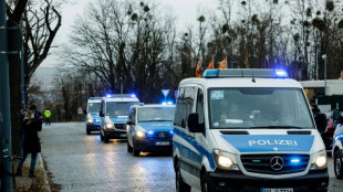 Proc&egrave;s en Allemagne apr&egrave;s un vol spectaculaire de diamants