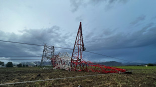 St&uuml;rme in &Ouml;sterreich schneiden tausende Haushalte von Stromversorgung ab