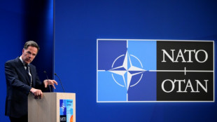 Otan, uma aliança de 32 países com grandes disparidades de gastos militares