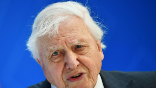 Aos 99 anos, David Attenborough lan&ccedil;a novo filme com apelo para salvar os oceanos