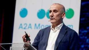 A2a, 17 miliardi di investimenti per transizione climatica