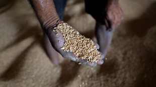 Brot f&uuml;r die Welt fordert "anderes weltweites Ern&auml;hrungssystem" gegen Hungerkrise