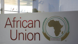 Africa Union tests diplomatic muscle with G20 entry